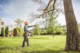 How Our Tree Care Process Works  in  Blawnox, PA