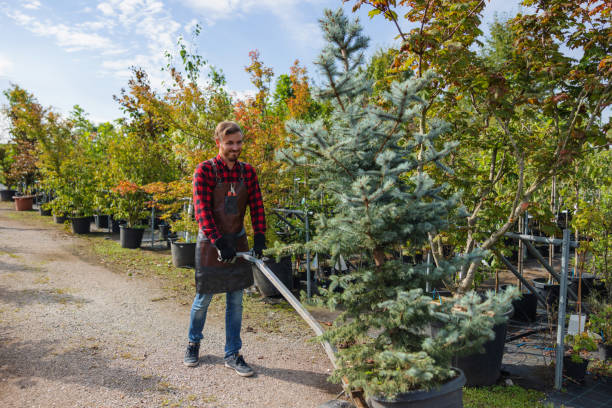 Mulching Services in Blawnox, PA